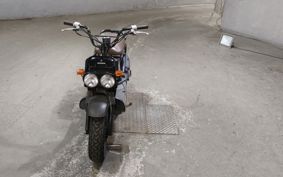 HONDA ZUMAR AF58