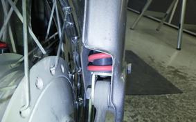 HONDA LITTLE CUB E 2020 AA01