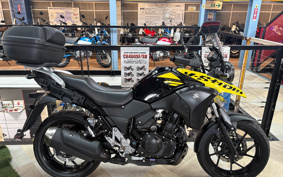 SUZUKI STROM 250 DS11A