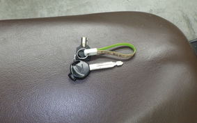 HONDA ZOOMER 1986 AF58