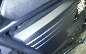 OTHER +MUTT DRK-01 250 1999