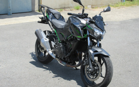 KAWASAKI Z250 EX250Y
