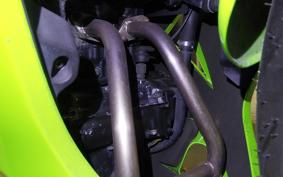 KAWASAKI NINJA 250R 2021 EX250K