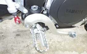 YAMAHA WR250X DG15J