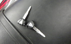 KAWASAKI ZX 1400 NINJA R A 2019