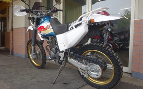 YAMAHA TT250RRAID 4GY