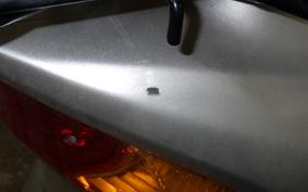 SUZUKI ADDRESS V125 G