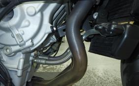 MV AGUSTA BRUTALE 800 A 2022