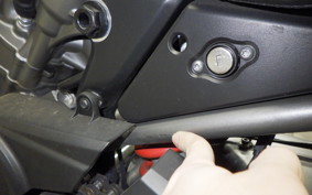 HARLEY ﾊﾟﾝ AMERICA1250S 2021