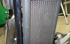 HONDA STEED 400 1996 NC26