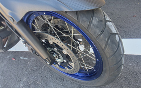 SUZUKI DL650 ( V-Strom 650 ) 2025 C733M