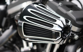 HARLEY XL883N 2017 LE2