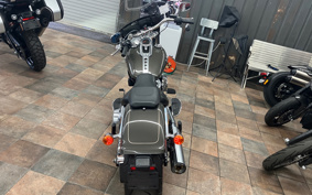 HARLEY FLFBS 2018 YGK