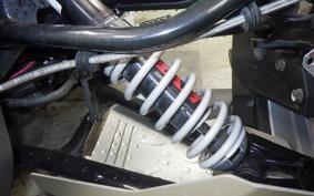 OTHER CAN-AMﾗｲｶｰ900 2020