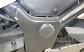 KAWASAKI NINJA 250 EX250L