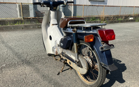 HONDA SUPER CUB50 C50