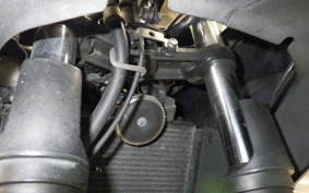 KAWASAKI NINJA 250 SL BX250A
