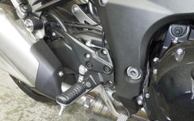 KAWASAKI NINJA 1000 2019 ZXT00W