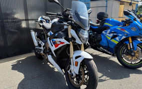 BMW S1000R M PACKAGE 2021 0E51