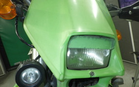 KAWASAKI KLX250 2021 LX250E