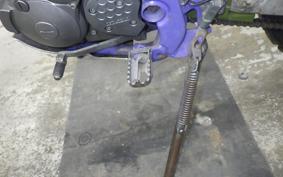 YAMAHA TT250R RAID 2024 4GY