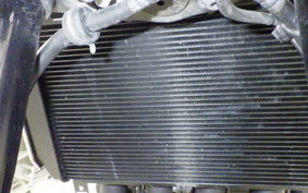 KAWASAKI Z900RS 2023 ZR900K