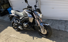 KAWASAKI Z125 PRO BR125H