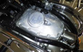 KAWASAKI W800 2025 EJ800E