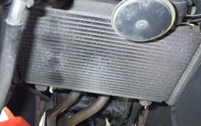 KAWASAKI NINJA 250 2015 EX250L