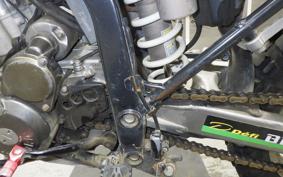 KAWASAKI KLX250 2024 LX250E