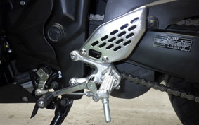 YAMAHA YZF-R25 RG10J