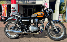 KAWASAKI W800 2016 EJ800A