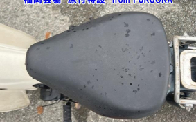 OTHER  LITTLE CUB E FI