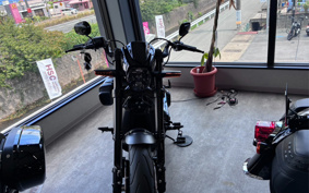 HARLEY FXDR114 2019 YVK