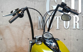 HARLEY FLS 2014 JR5