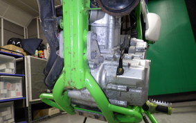 KAWASAKI KLX250 Gen.2 2023 LX250S