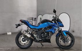 KAWASAKI Z250 SL BR250E