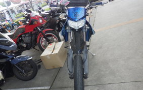 KAWASAKI KLX250D TRACKER X 2021 LX250V