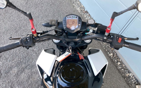 KTM 250 DUKE JPE40