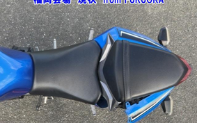 KAWASAKI NINJA 250 ABS