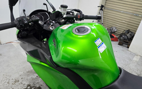 KAWASAKI NINJA 1000 ABS 2017 ZXT00W