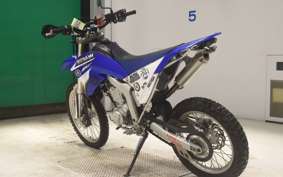 YAMAHA WR250R 2022 DG15J