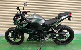 KAWASAKI Z250ABS ER250C