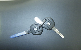 SUZUKI Vｽﾄﾛｰﾑ250SX 2011 EL11L