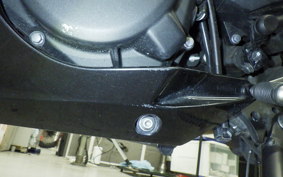 KAWASAKI NINJA 250 2022 EX250Y