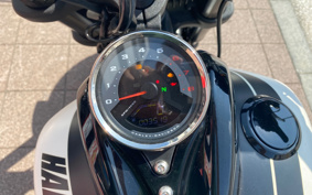 HARLEY FXFBS 2018 YLK