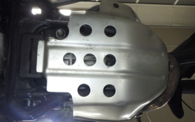 KAWASAKI SUPER SHERPA 2020 KL250G