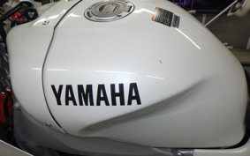 YAMAHA XSR900 GP 2024 RN96J