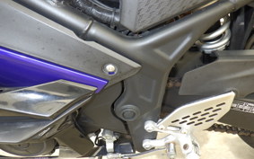 YAMAHA YZF-R25 2008 RG43J