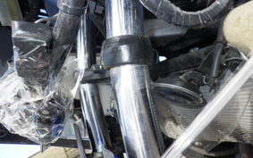 KAWASAKI NINJA 250 EX250L